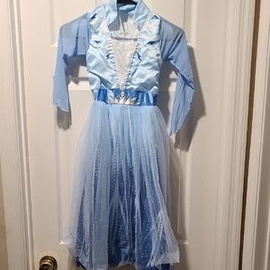 Blue Sheer "Elsa"-like Dress/costume (P1)